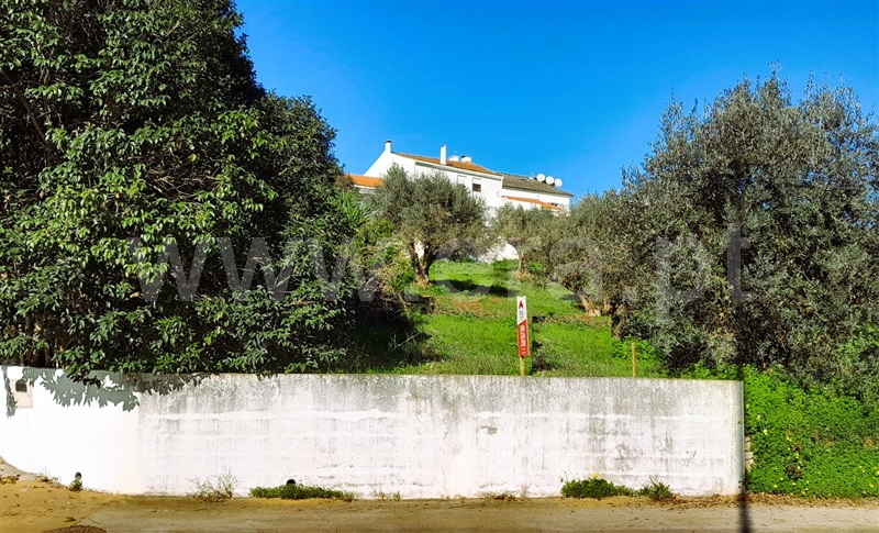Terreno  Tomar, Tomar (São João Baptista) e Santa Maria dos Olivais - 1373706 - 3