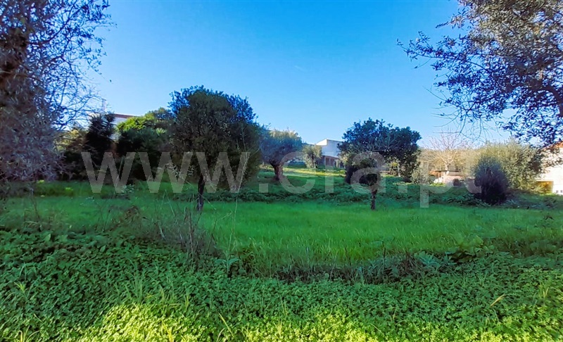 Terreno  Tomar, Tomar (São João Baptista) e Santa Maria dos Olivais - 1373706 - 4