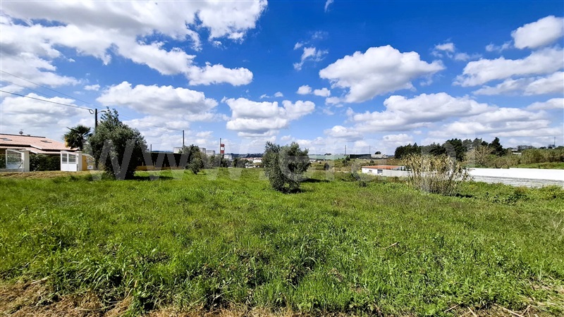 Terreno / Tomar, Tomar (São João Baptista) e Santa Maria dos Olivais