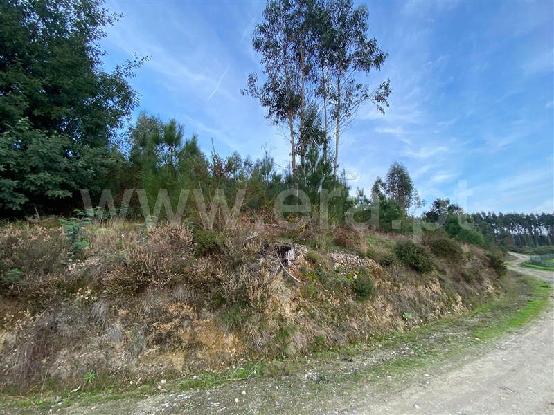 Terreno  Tondela, Barreiro de Besteiros e Tourigo - 1450358 - 2