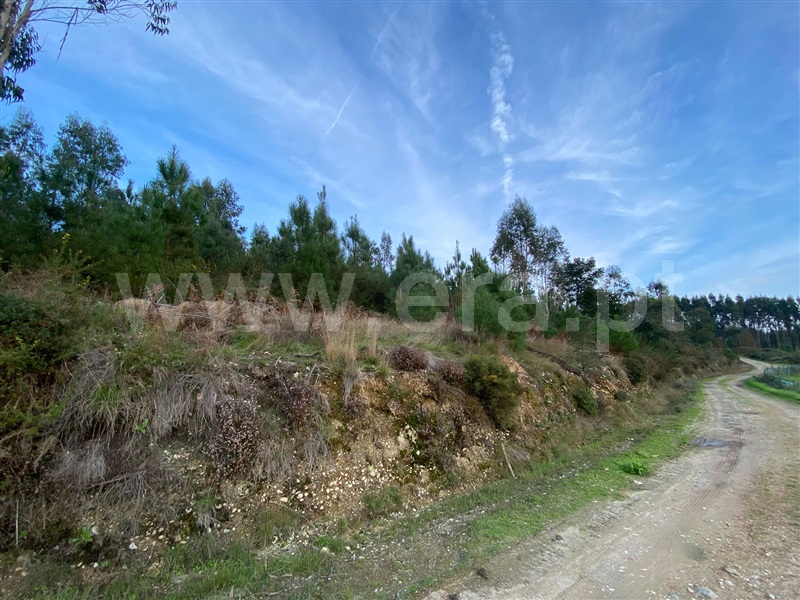 Terreno  Tondela, Barreiro de Besteiros e Tourigo - 1450358 - 4