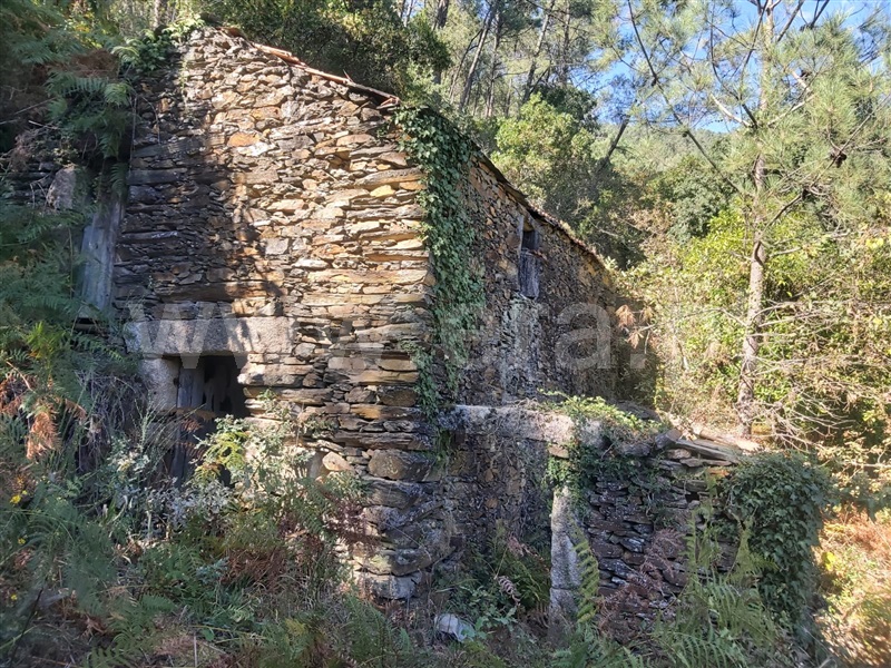 Terreno  Tondela, Barreiro de Besteiros e Tourigo - 1513262 - 1