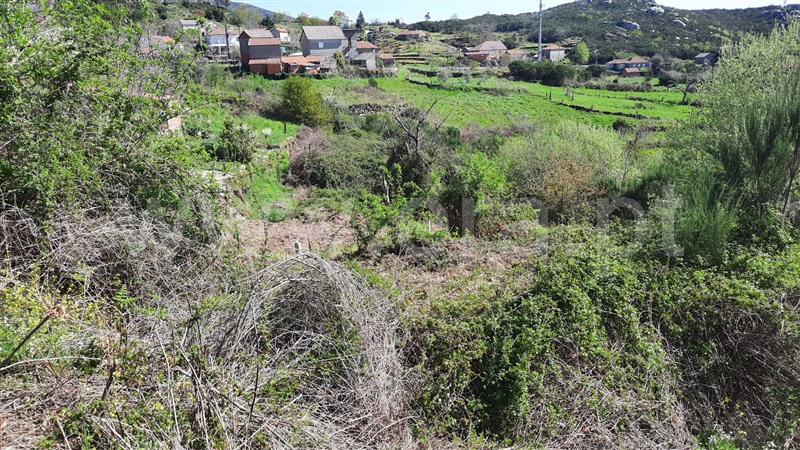 Terreno  Tondela, Caparrosa e Silvares - 1468749 - 1