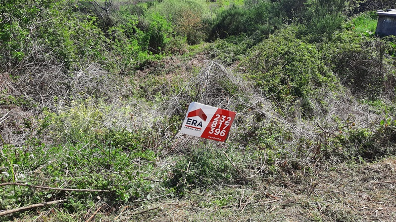 Terreno / Tondela, Caparrosa e Silvares