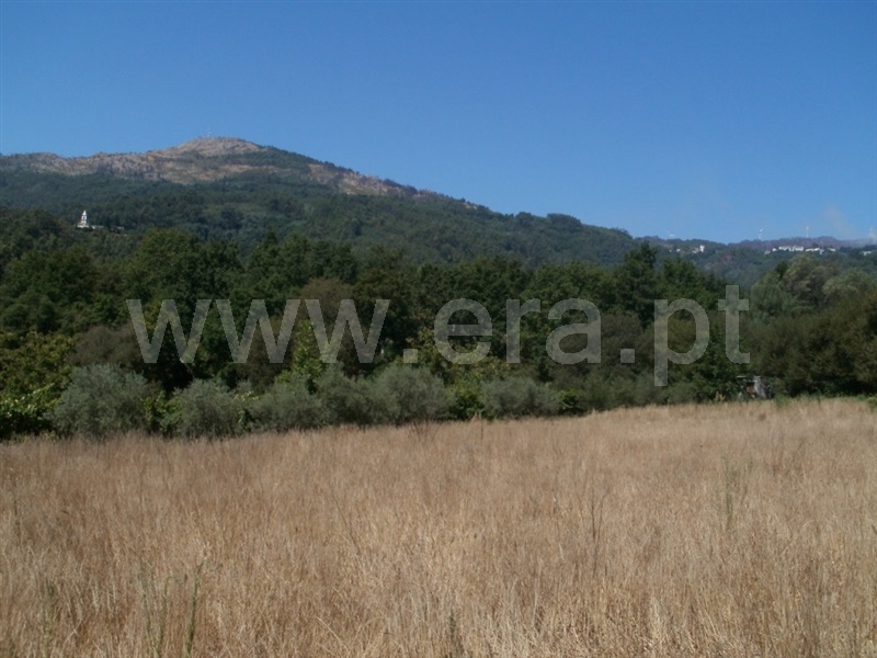 Terreno  Tondela, Castelões - 1139114 - 1