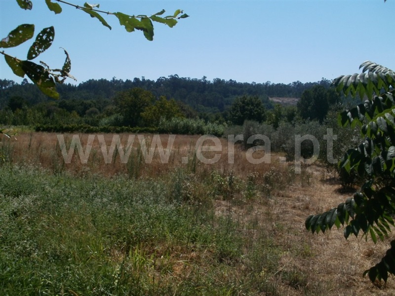 Terreno  Tondela, Castelões - 1139114 - 3