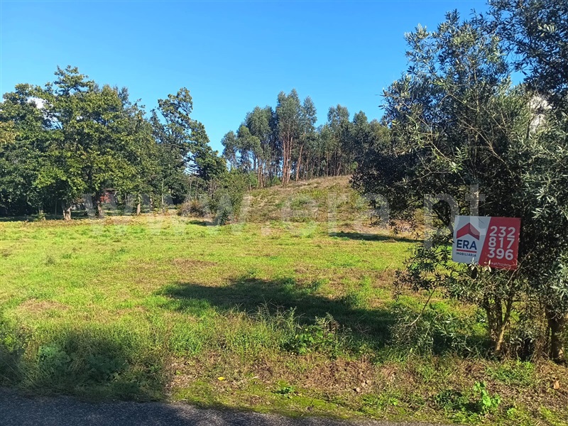 Terreno / Tondela, Dardavaz
