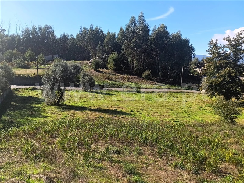 Terreno  Tondela, Dardavaz - 1431465 - 2