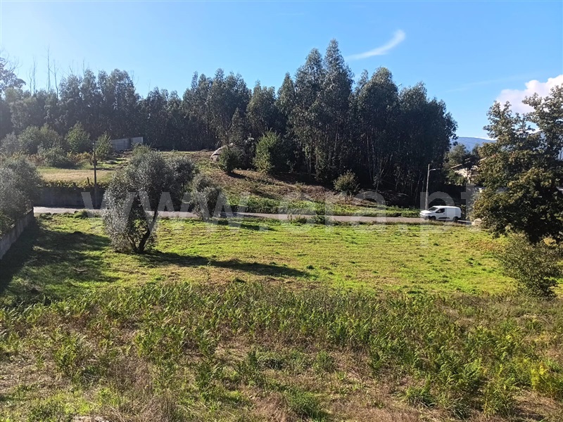 Terreno  Tondela, Dardavaz - 1431465 - 3