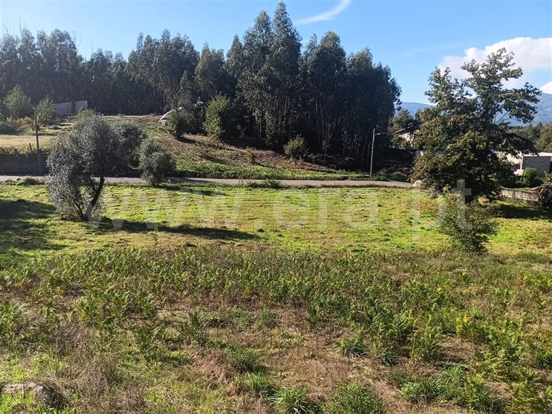 Terreno  Tondela, Dardavaz - 1431465 - 4