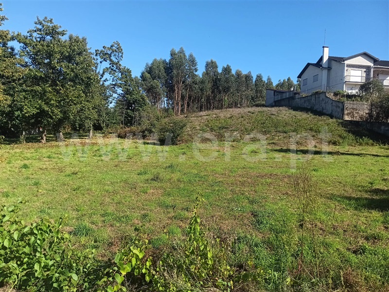 Terreno  Tondela, Dardavaz - 1431465 - 6