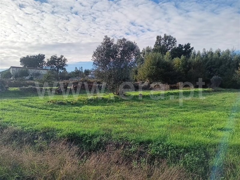 Terreno  Tondela, Dardavaz - 1439856 - 1