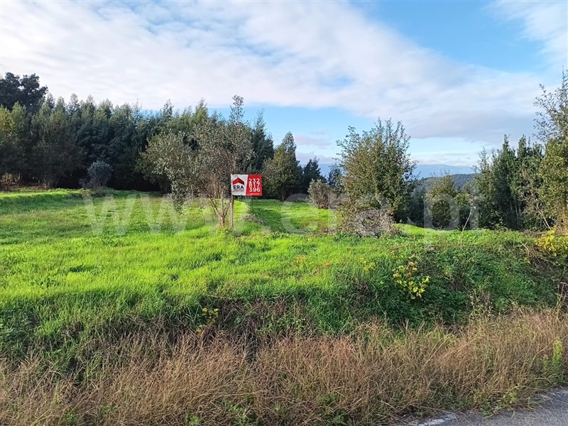 Terreno  Tondela, Dardavaz - 1439856 - 3