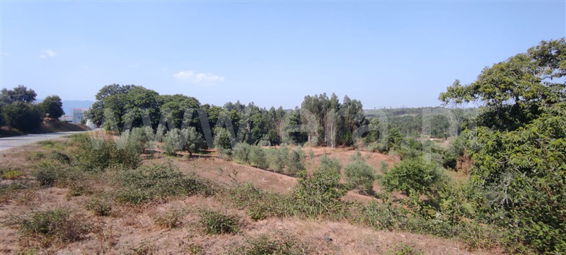 Terreno  Tondela, Dardavaz - 1502528 - 1