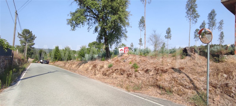 Terreno  Tondela, Dardavaz - 1502528 - 5