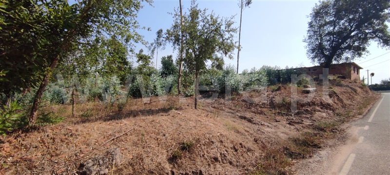 Terreno  Tondela, Dardavaz - 1502528 - 8