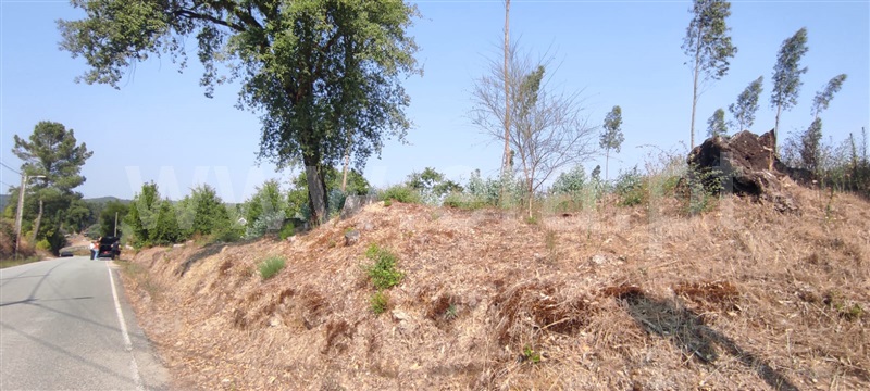 Terreno  Tondela, Dardavaz - 1502528 - 9