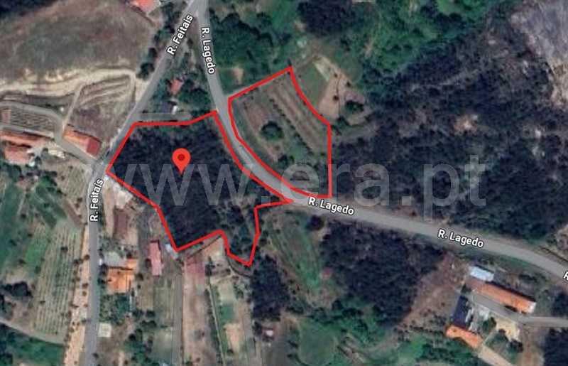 Terreno  Tondela, Dardavaz - 1502528 - 10