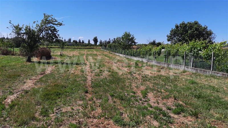 Terreno  Tondela, Lobão da Beira - 1175768 - 8