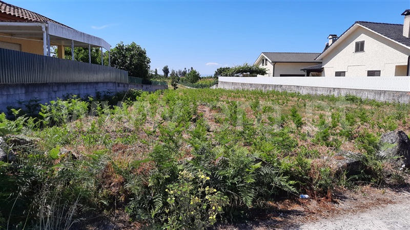 Terreno  Tondela, Lobão da Beira - 1175768 - 9