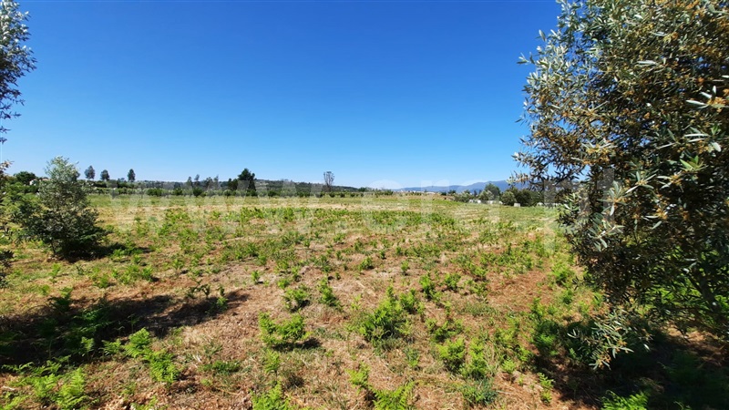 Terreno  Tondela, Lobão da Beira - 1175768 - 10
