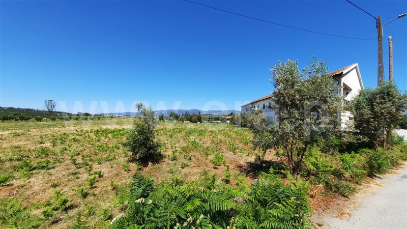 Terreno  Tondela, Lobão da Beira - 1175768 - 2