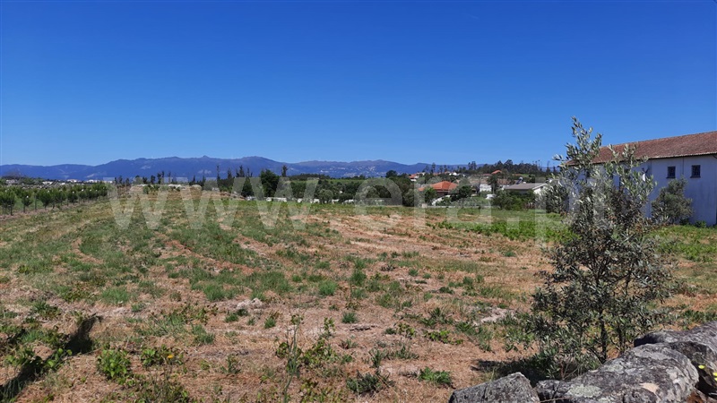 Terreno  Tondela, Lobão da Beira - 1175768 - 12