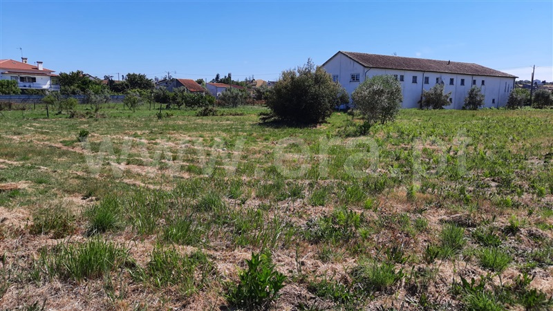 Terreno  Tondela, Lobão da Beira - 1175768 - 13