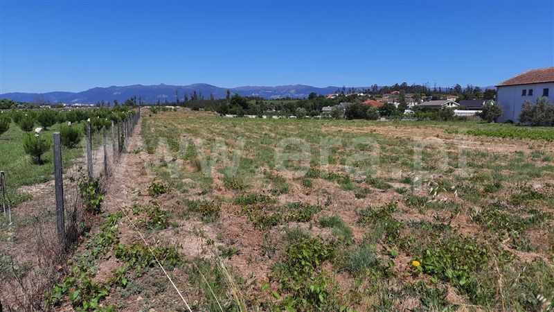 Terreno  Tondela, Lobão da Beira - 1175768 - 14