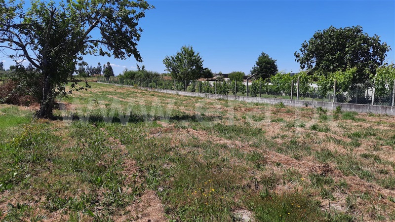 Terreno  Tondela, Lobão da Beira - 1175768 - 16