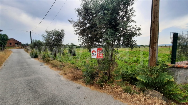 Terreno  Tondela, Lobão da Beira - 1175768 - 1