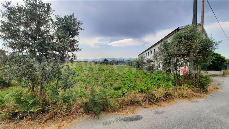 Terreno  Tondela, Lobão da Beira - 1175768 - 3