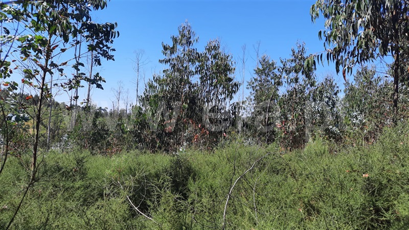 Terreno  Tondela, Lobão da Beira - 1175783 - 2