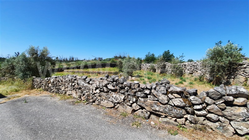 Terreno  Tondela, Lobão da Beira - 1175790 - 2