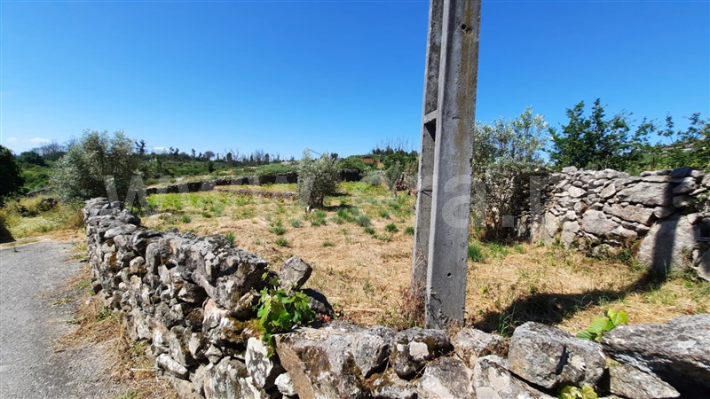 Terreno  Tondela, Lobão da Beira - 1175790 - 5
