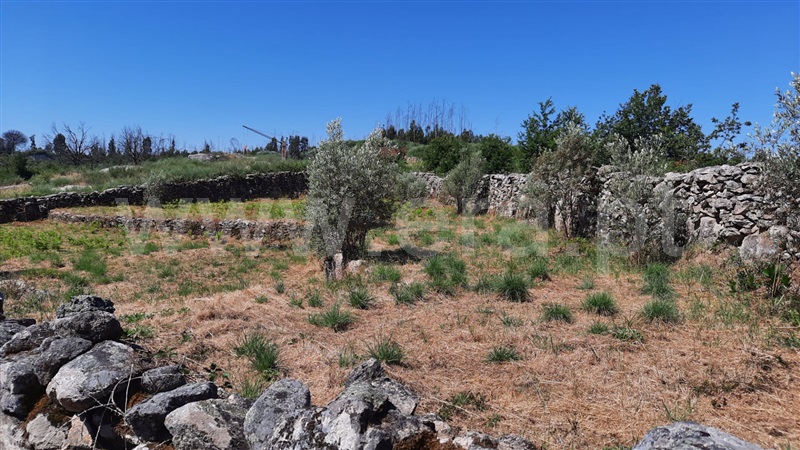Terreno  Tondela, Lobão da Beira - 1175790 - 6