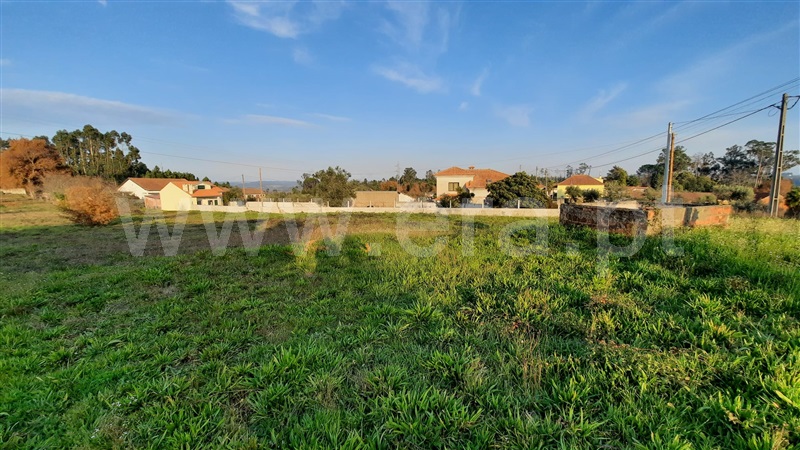 Terreno  Tondela, Lobão da Beira - 1218386 - 12