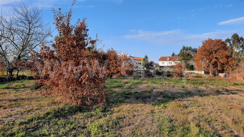 Terreno  Tondela, Lobão da Beira - 1218386 - 16