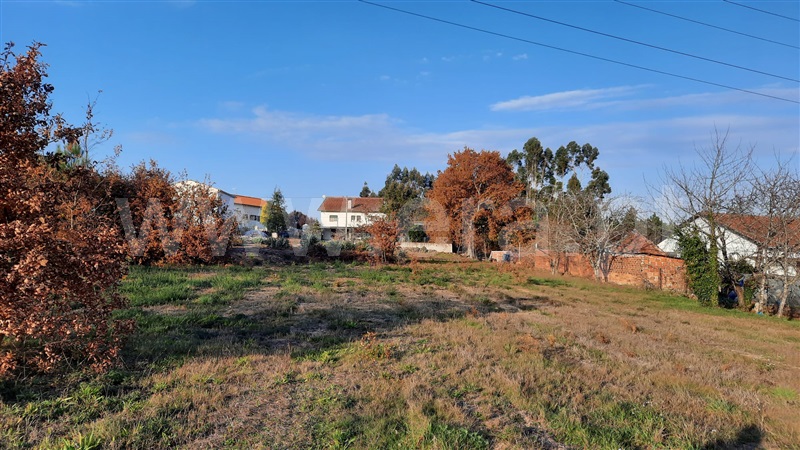 Terreno  Tondela, Lobão da Beira - 1218386 - 17