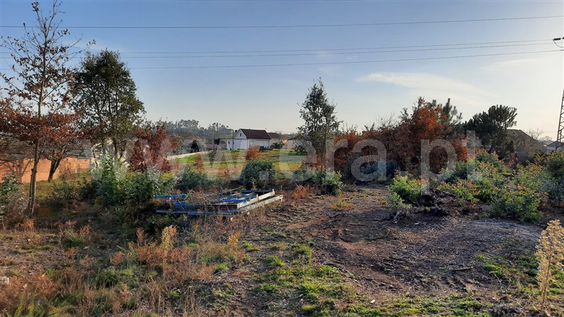 Terreno  Tondela, Lobão da Beira - 1218386 - 20