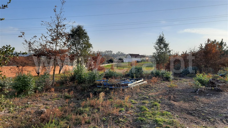 Terreno  Tondela, Lobão da Beira - 1218386 - 24