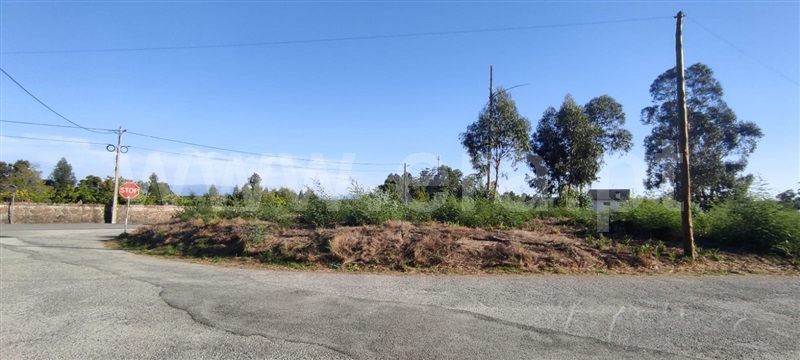 Terreno / Tondela, Molelos