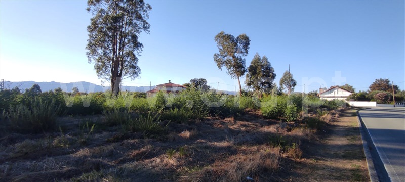 Terreno  Tondela, Molelos - 1510922 - 6