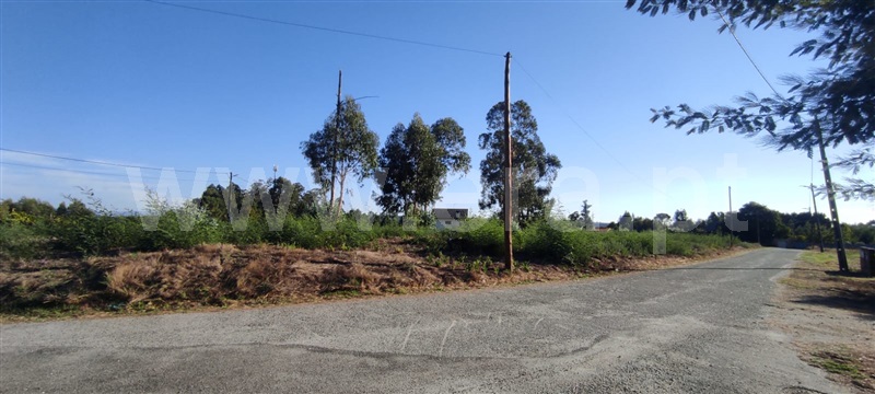 Terreno  Tondela, Molelos - 1510922 - 8