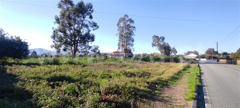 Terreno  Tondela, Molelos - 1510922 - 9