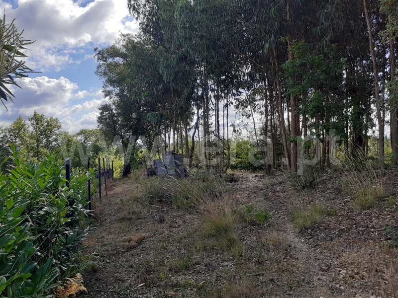 Terreno  Tondela, Mouraz e Vila Nova da Rainha - 1257807 - 2