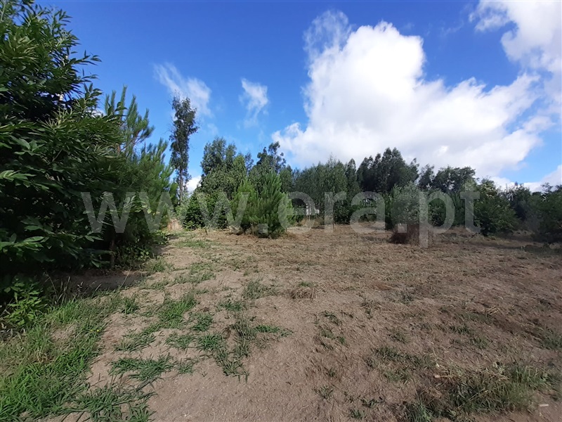 Terreno  Tondela, Mouraz e Vila Nova da Rainha - 1257807 - 3