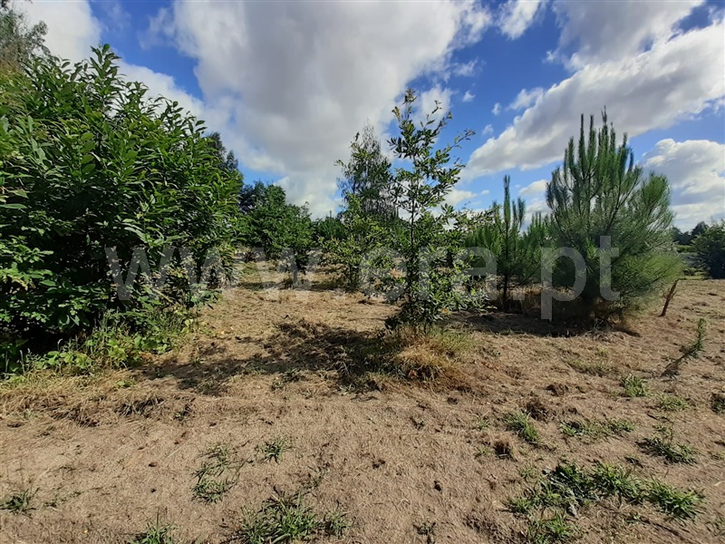 Terreno  Tondela, Mouraz e Vila Nova da Rainha - 1257807 - 4