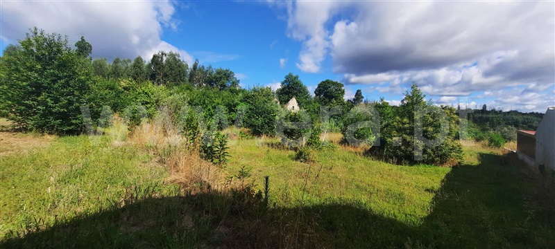 Terreno  Tondela, Mouraz e Vila Nova da Rainha - 1257807 - 6