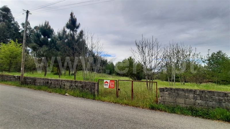 Terreno  Tondela, Mouraz e Vila Nova da Rainha - 1257807 - 14
